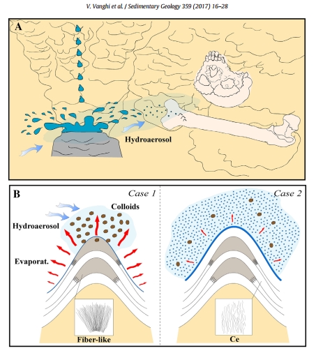 Genesi e microstratigrafie della calcite coralloide della Grotta di Lamalunga